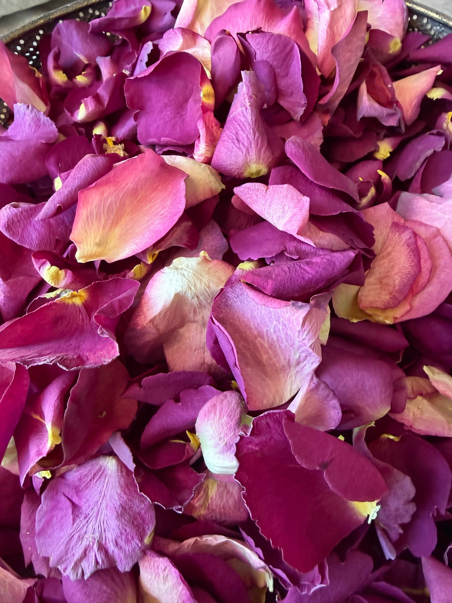 Luxury Freeze-Dried Rose Petal Confetti