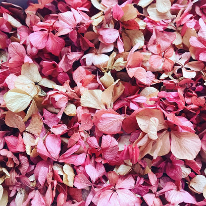 Wedding Toss Kit • Mixed Colours Hydrangea Petals • 40 Guests Includes 40 handfuls & 40 cones