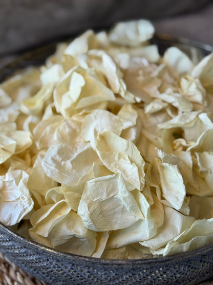 Luxury Freeze-Dried Rose Petal Confetti