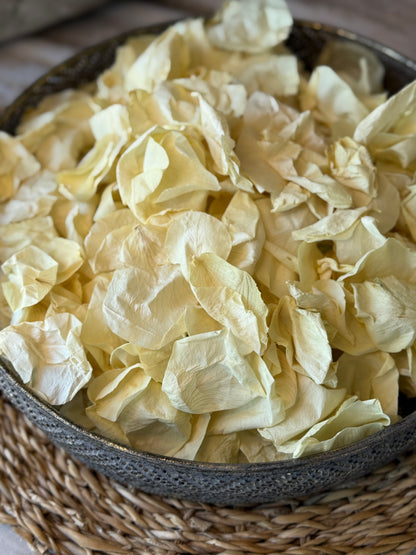 Luxury Freeze-Dried Rose Petal Confetti
