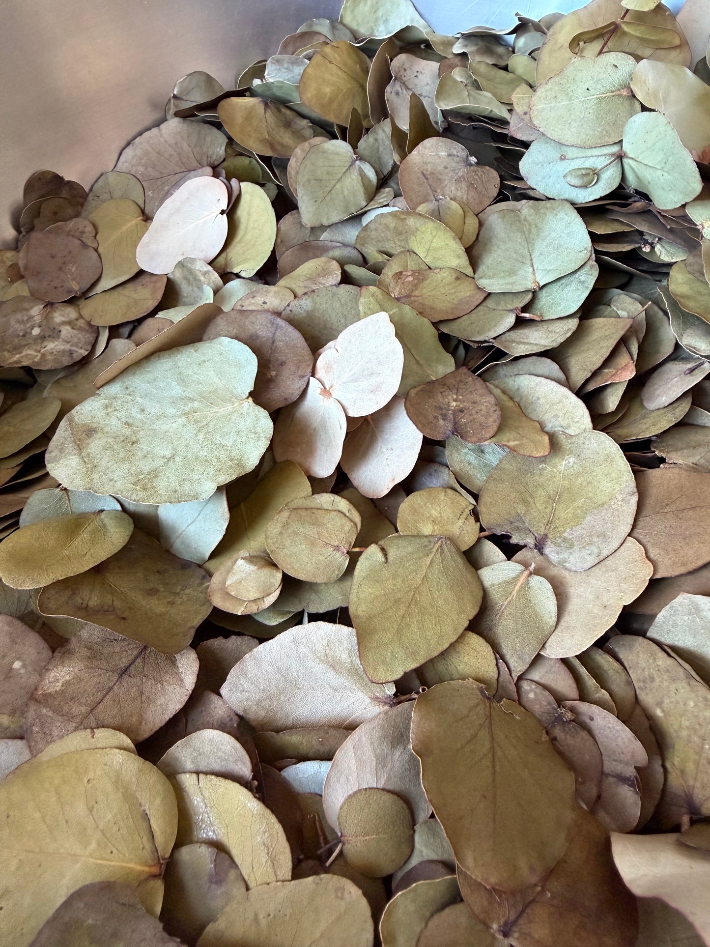 Naturally Dried Eucalyptus Petal Bag