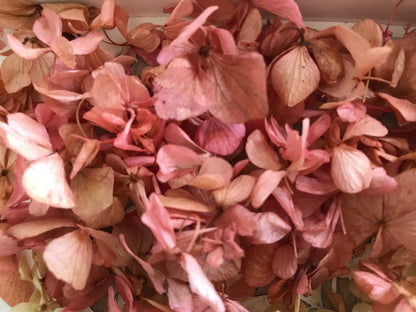 Wedding Toss Kit • Mixed Colours Hydrangea Petals • 40 Guests Includes 40 handfuls & 40 cones