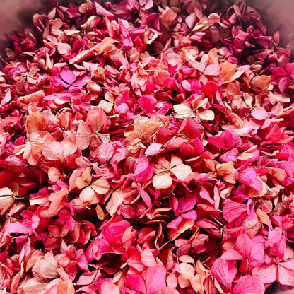 Wedding Toss Kit • Mixed Colours Hydrangea Petals • 40 Guests Includes 40 handfuls & 40 cones