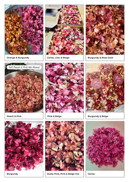 Dried Hydrangea Confetti Wands – Pack of 10 (Ready to Throw)